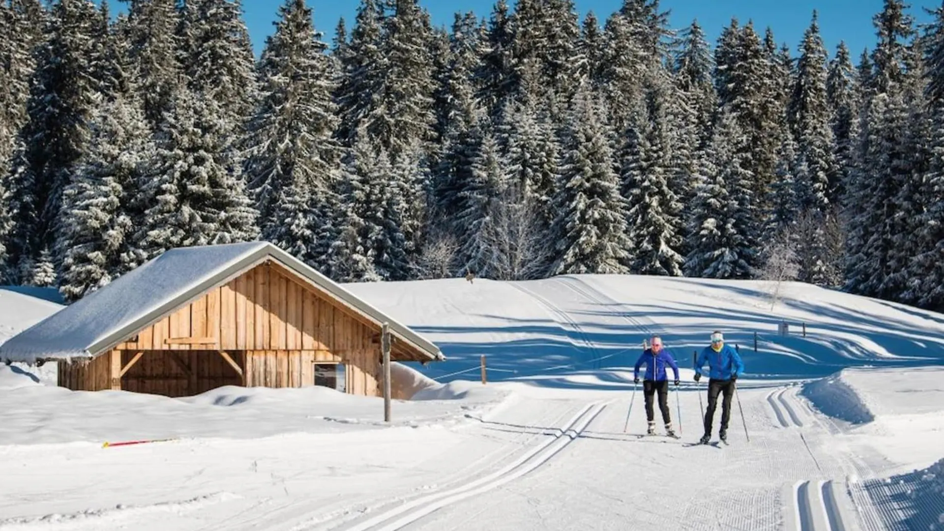 Superbe Appartement Au Pied Des Pistes -Le Chamois Les Déserts Francja